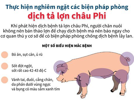 TẢ LỢN